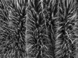 150cm ARTIFICIAL FUR