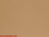 155cm SHINY NYLON LYCRA