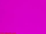 155cm SHINY NYLON LYCRA