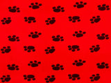 150cm PRINTED POLAR FLEECE